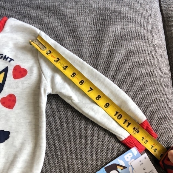 Bluey Long Sleeve Pullover Sweatshirt Printed Toddler Boy Girl Valentine’s Day 4 - Picture 12 of 12